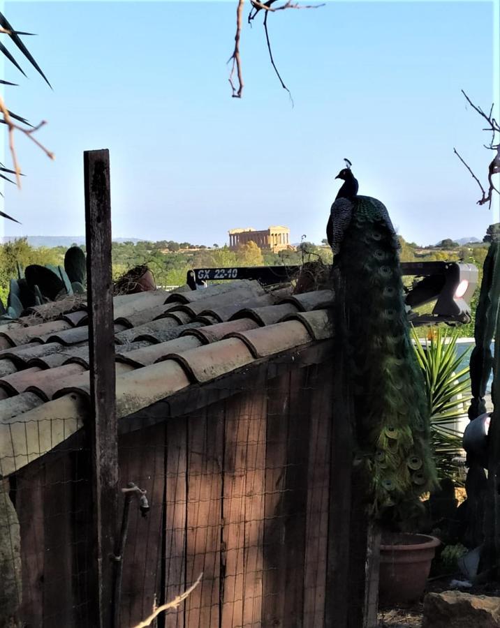 B&B Villa San Marco Agrigento Dış mekan fotoğraf