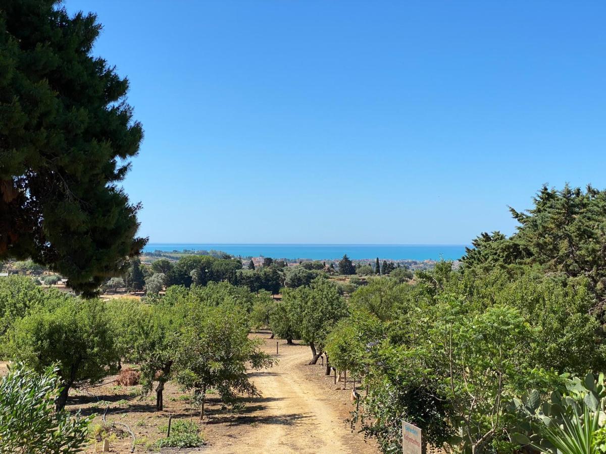 B&B Villa San Marco Agrigento Dış mekan fotoğraf