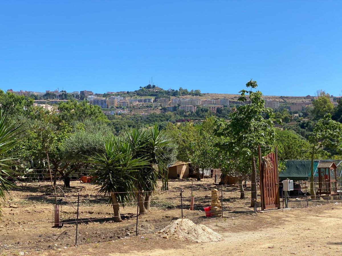 B&B Villa San Marco Agrigento Dış mekan fotoğraf