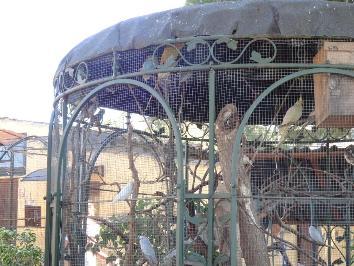 B&B Villa San Marco Agrigento Dış mekan fotoğraf