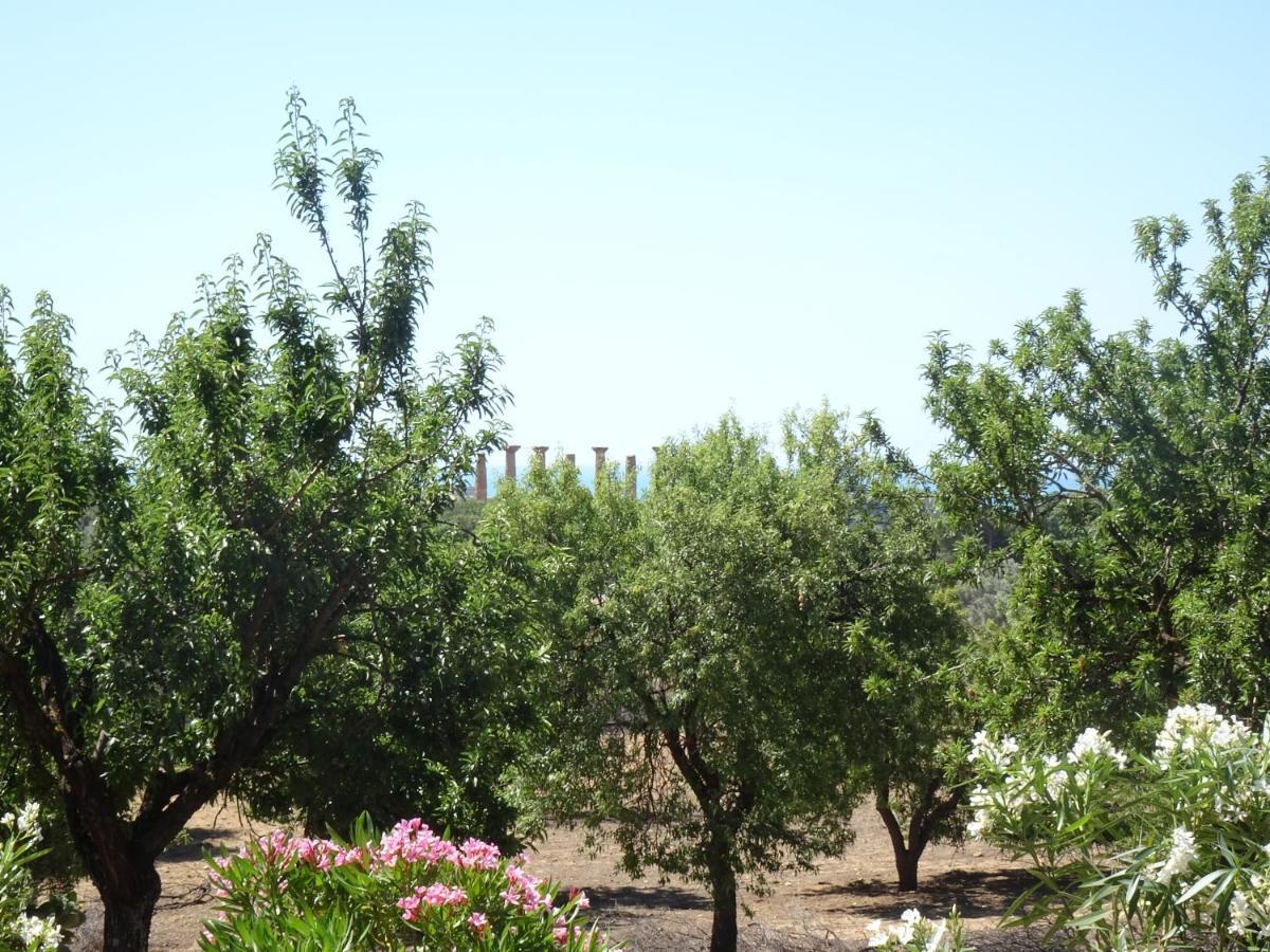 B&B Villa San Marco Agrigento Dış mekan fotoğraf