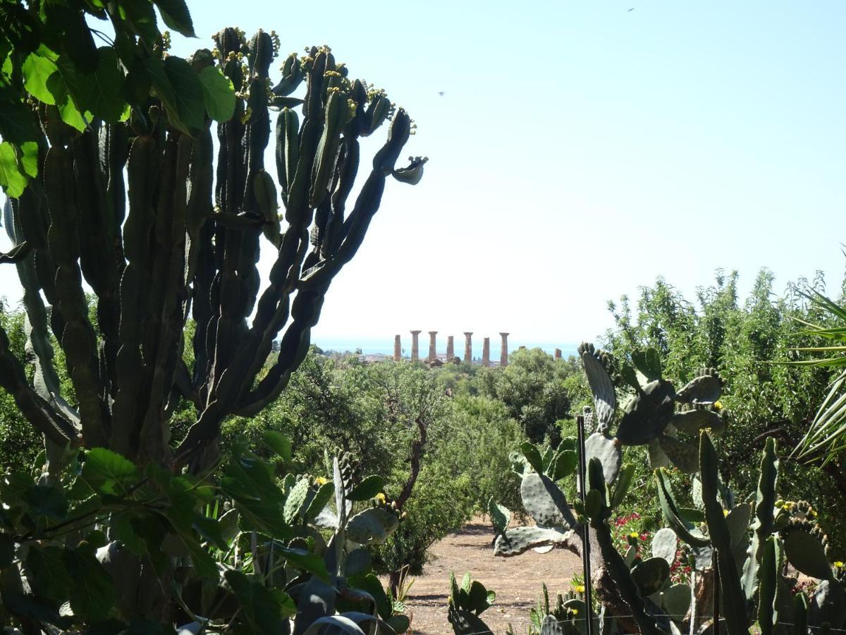 B&B Villa San Marco Agrigento Dış mekan fotoğraf